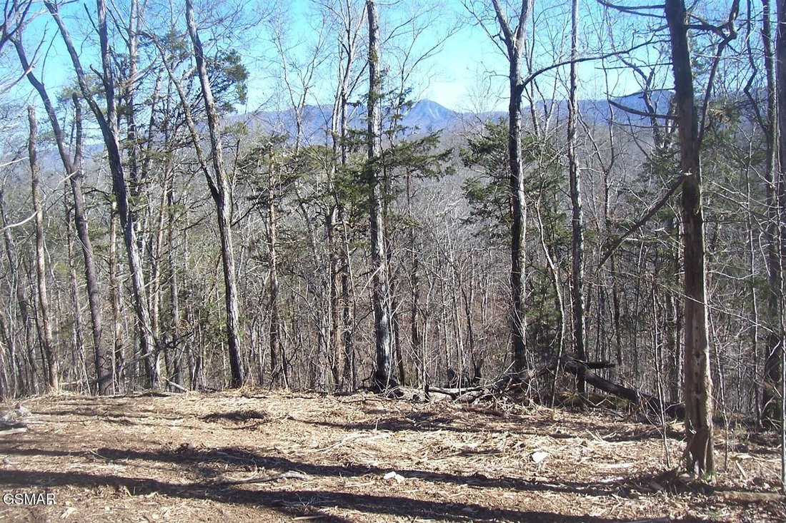 House in Sevierville, Tennessee, United States 2 - 18494275