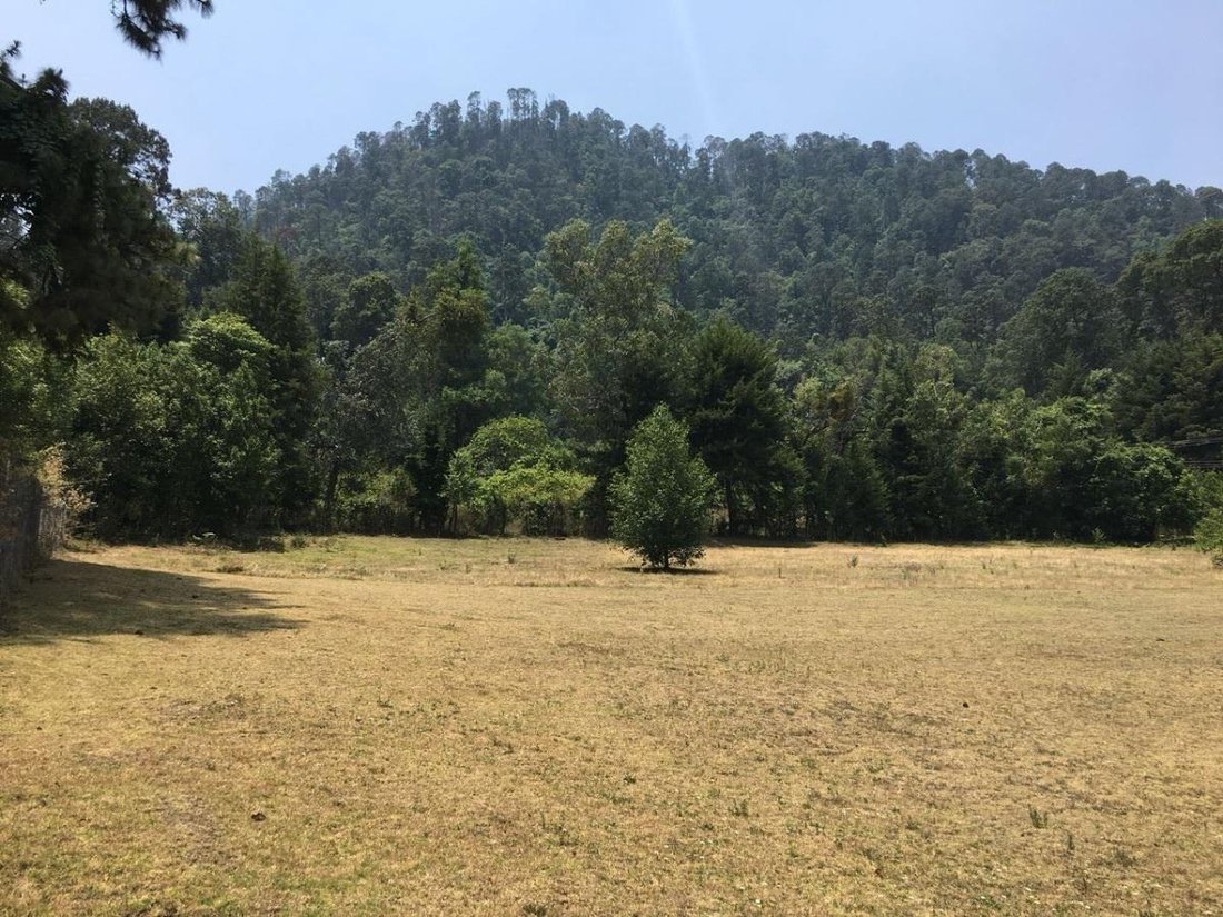 Condo in El Castellano, State of Mexico, Mexico 5 - 18492469