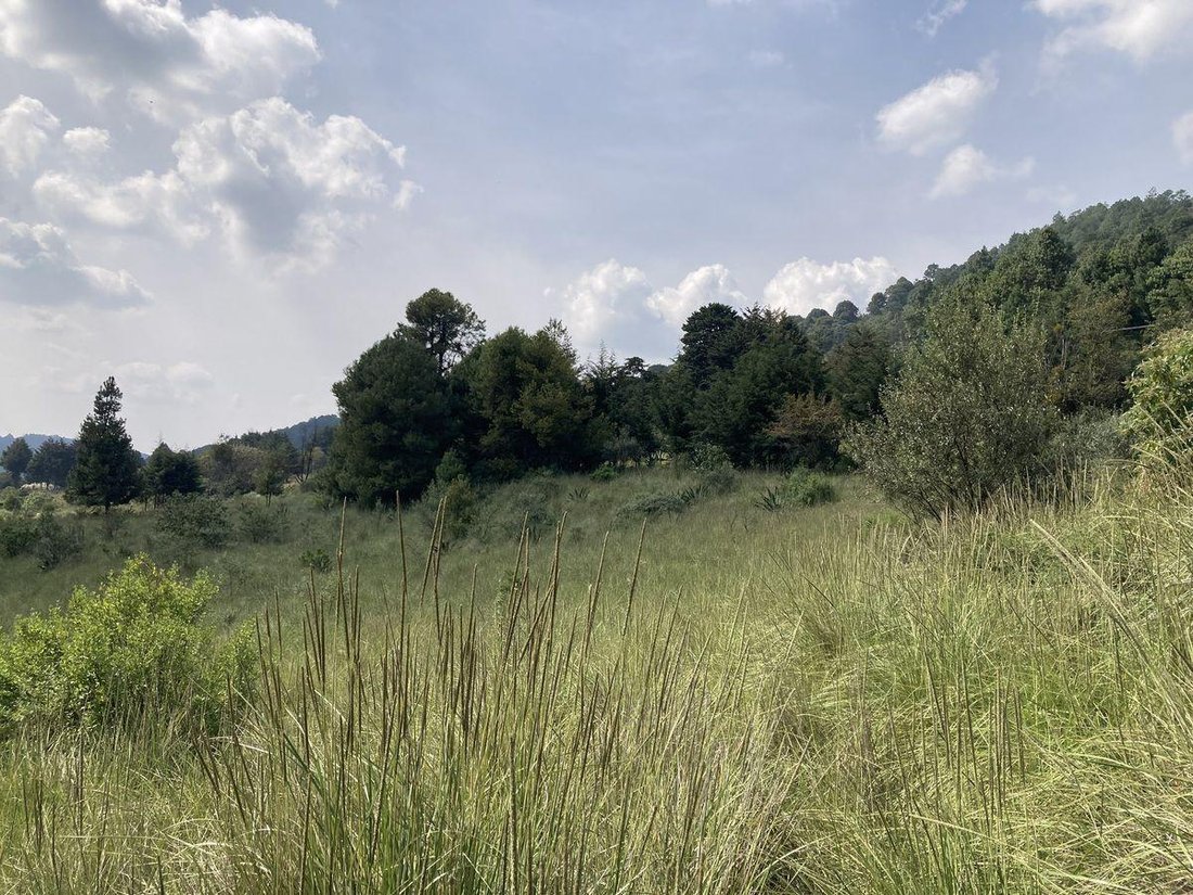Land in Cañada de Alferes, State of Mexico, Mexico 5 - 18492696