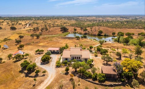 Villa en Ourique, Distrito de Beja, Portugal 1