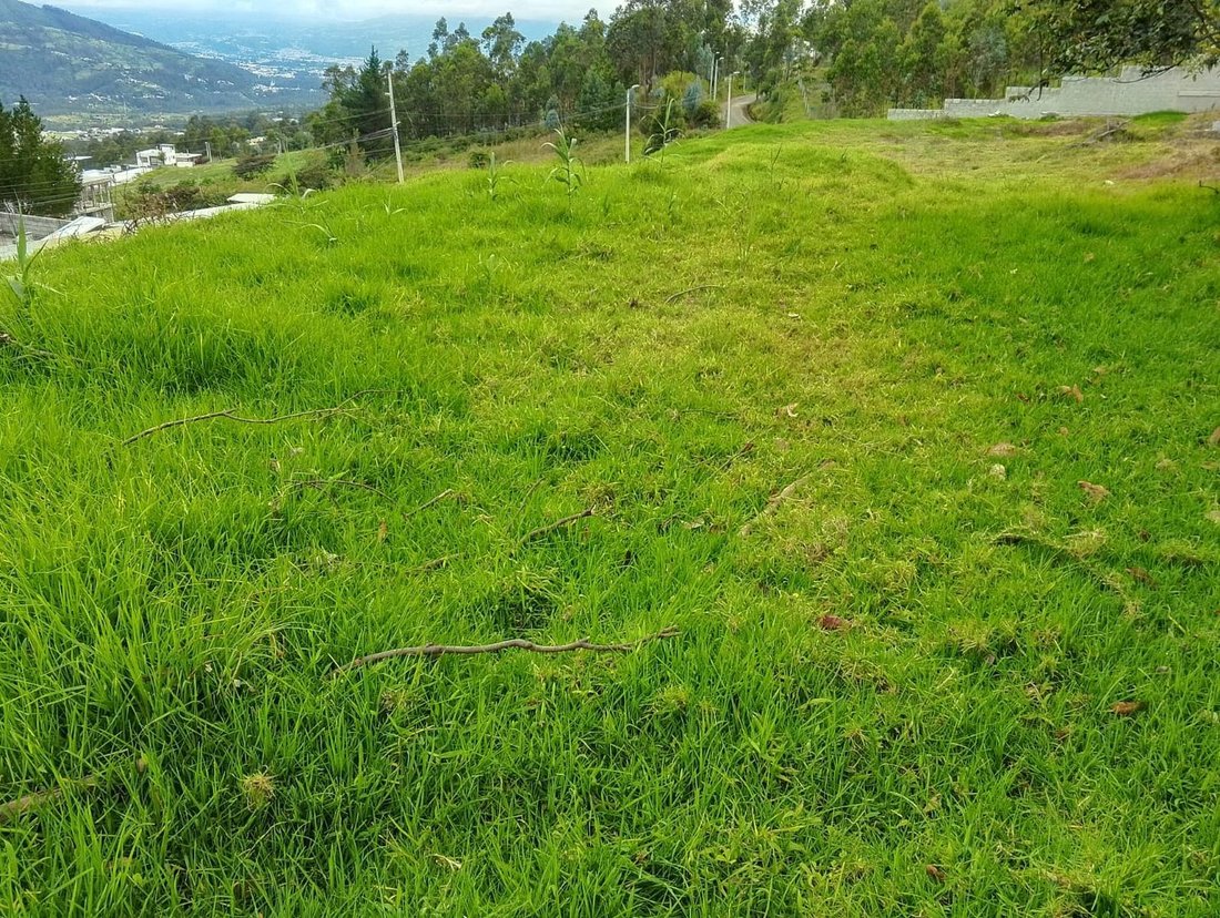 Land in Quito, Provinz Pichincha, Ecuador 3 - 18492587