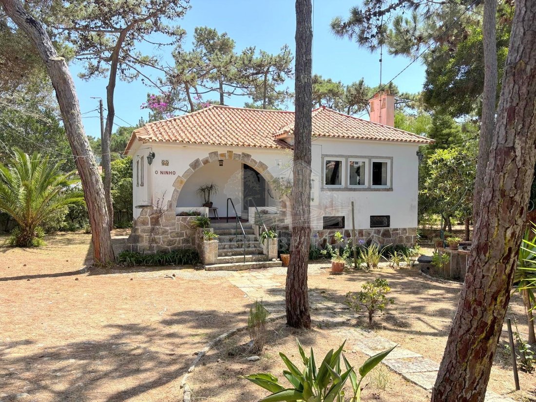 House in Colares, Lisbon, Portugal 5 - 18495257