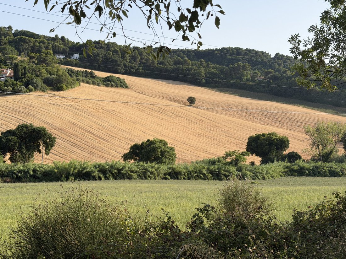 Land in Conero, Ancona, Marche 4 - 18495336