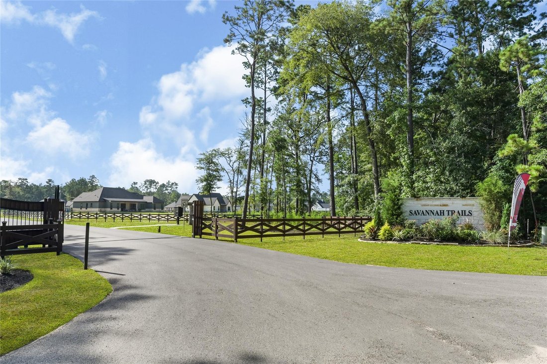 House in Conroe, Texas, United States 3 - 18494117