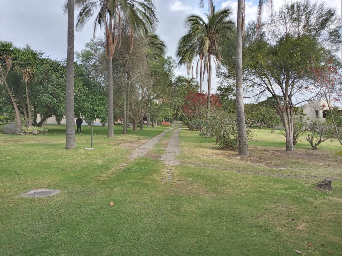 Land in Quito, Pichincha, Ecuador 1 - 18492595