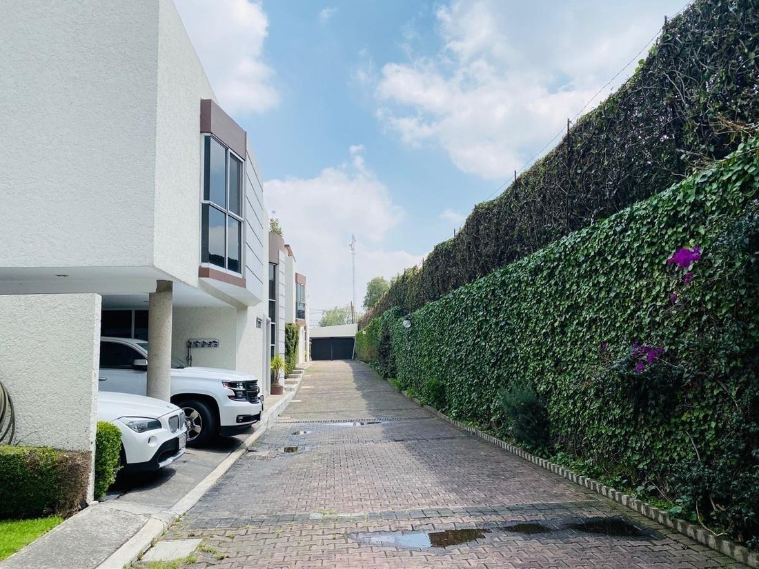 Condo in Mexico City, Mexico 4 - 18492385