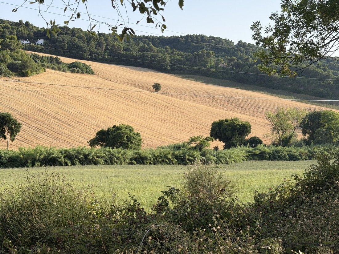 Land in Conero, Ancona, Marche 2 - 18495336