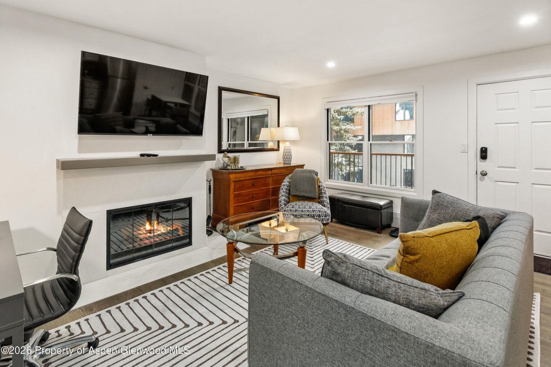 Condo in Aspen, Colorado, United States 3 - 18493991