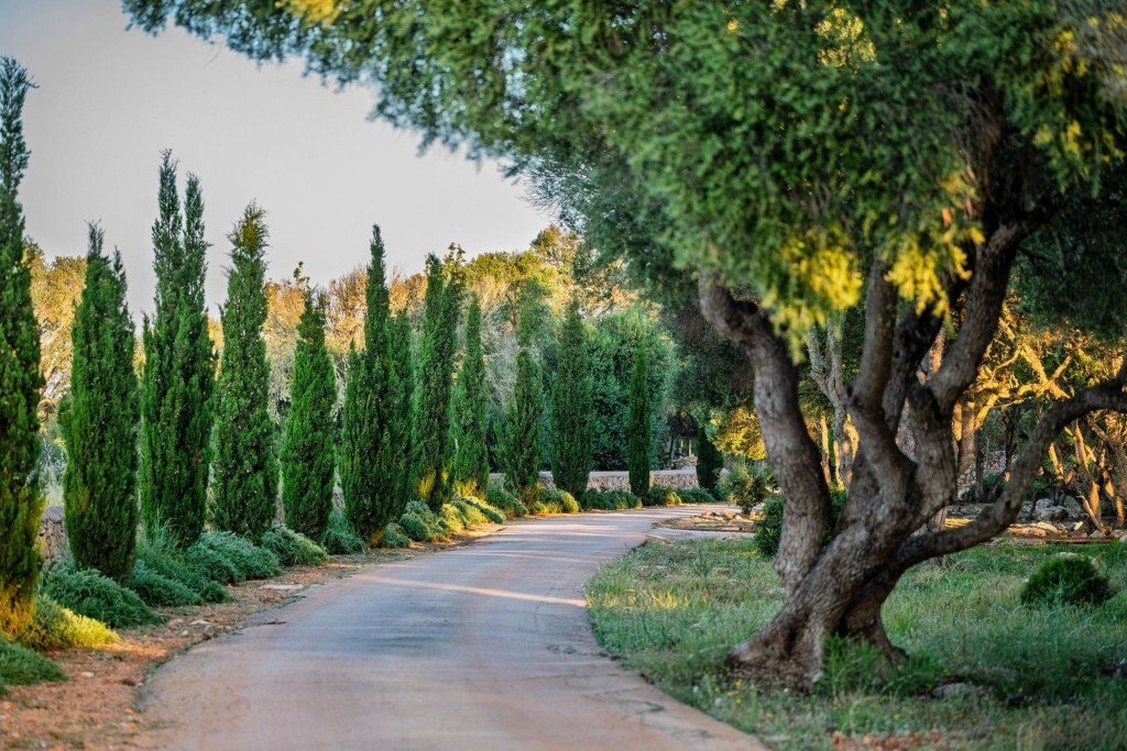 Farm Ranch in Llucmajor, Balearic Islands, Spain 2 - 18495132