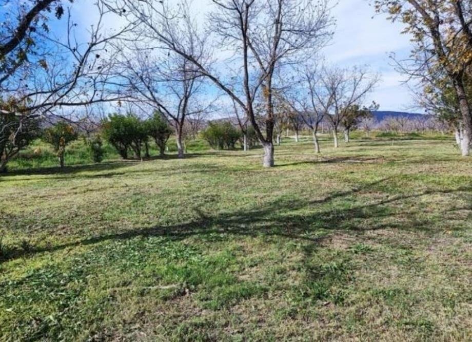 Land in Parras de la Fuente, Coahuila, Mexico 5 - 18492707