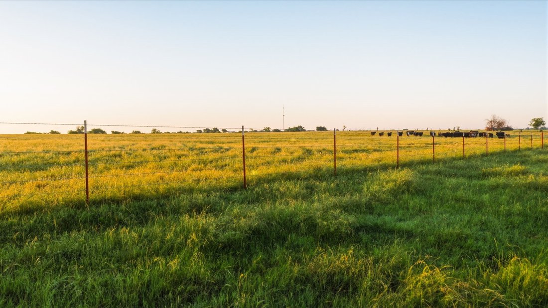 Land in Era, Texas, United States 5 - 18494941