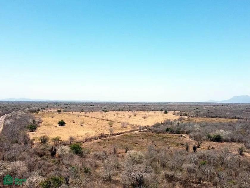 Land in La Amapa, Sinaloa, Mexico 3 - 17814641
