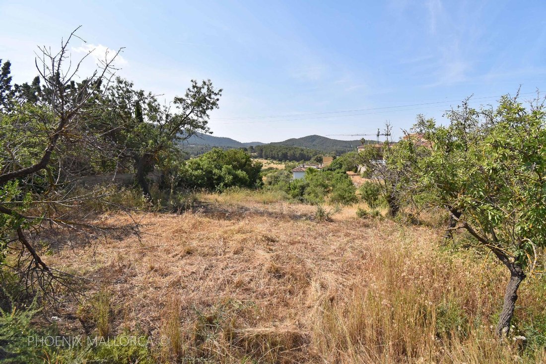 Terreno a Calvià, Isole Baleari, Spagna 2 - 17773259