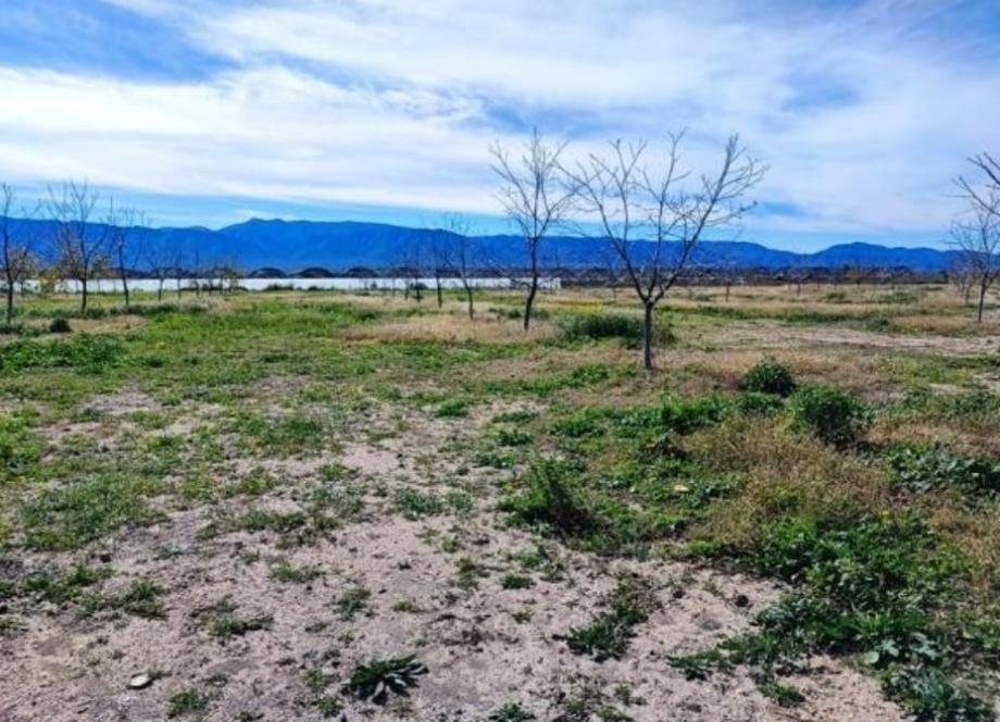 Land in Parras de la Fuente, Coahuila, Mexico 5 - 18492708