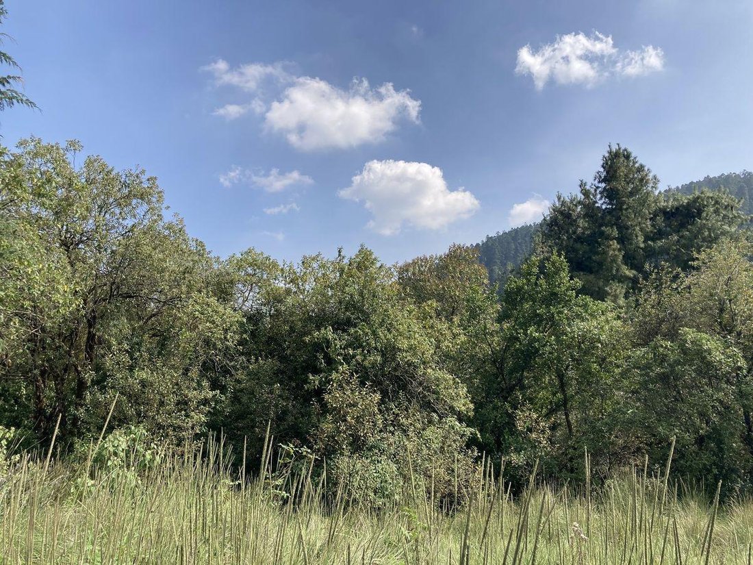 Land in Cañada de Alferes, State of Mexico, Mexico 4 - 18492696