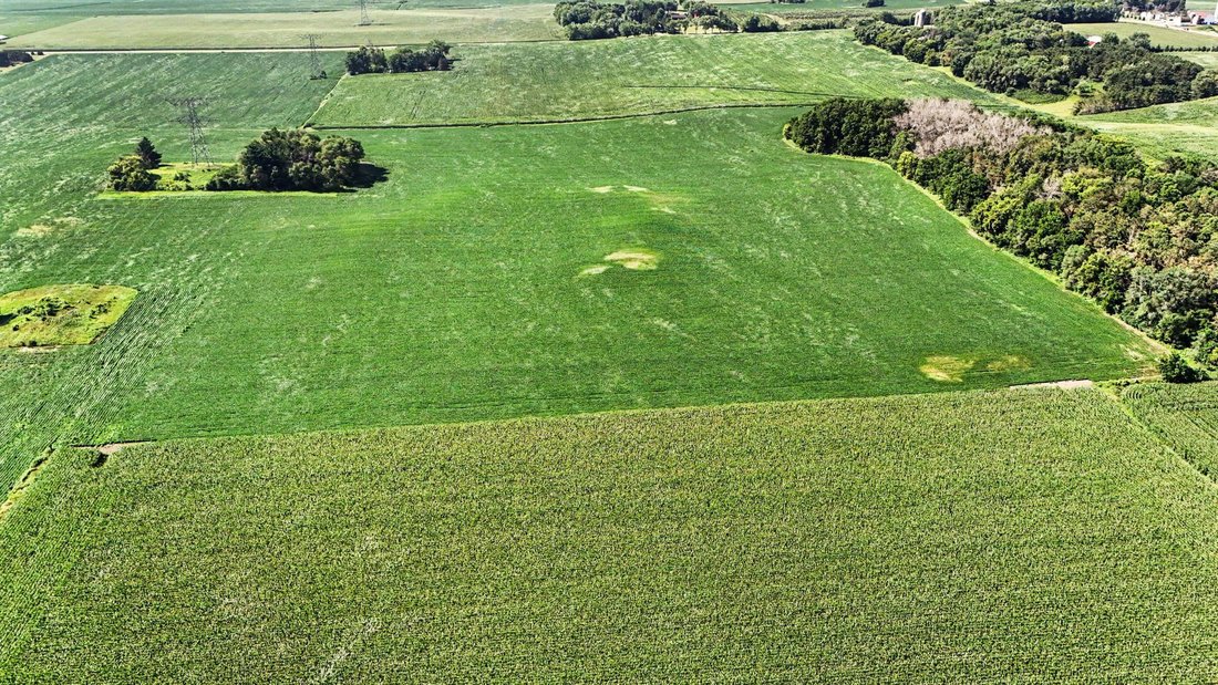 Land in Afton, Tennessee, United States 4 - 18494856