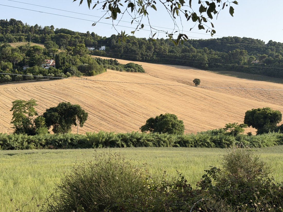 Land in Conero, Ancona, Marche 1 - 18495336