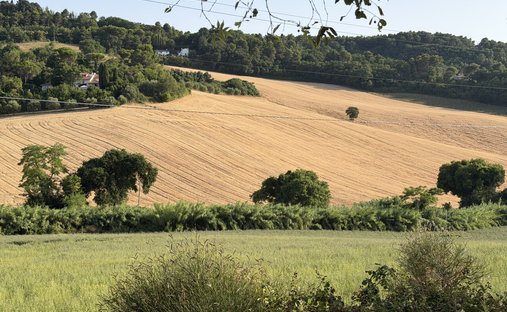 Land in Conero, Ancona, Marken 1