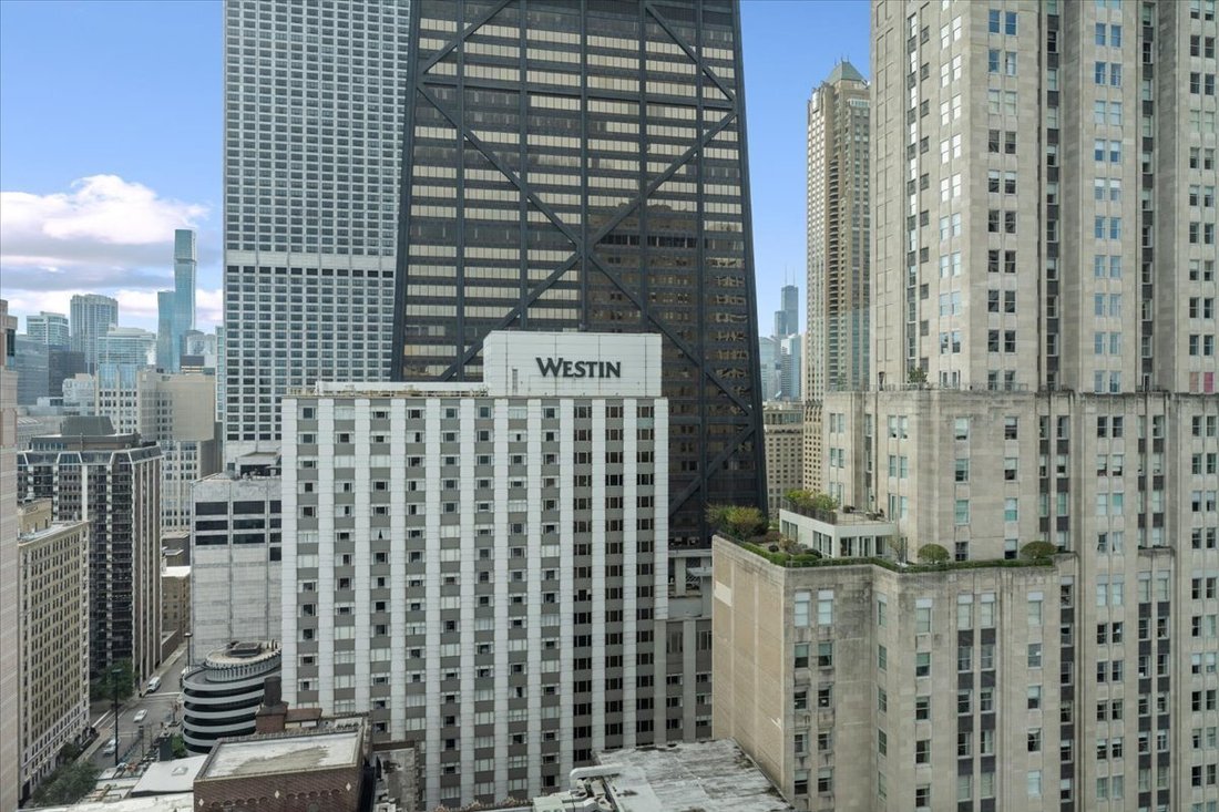Co Op in Chicago, Illinois, United States 4 - 18494714