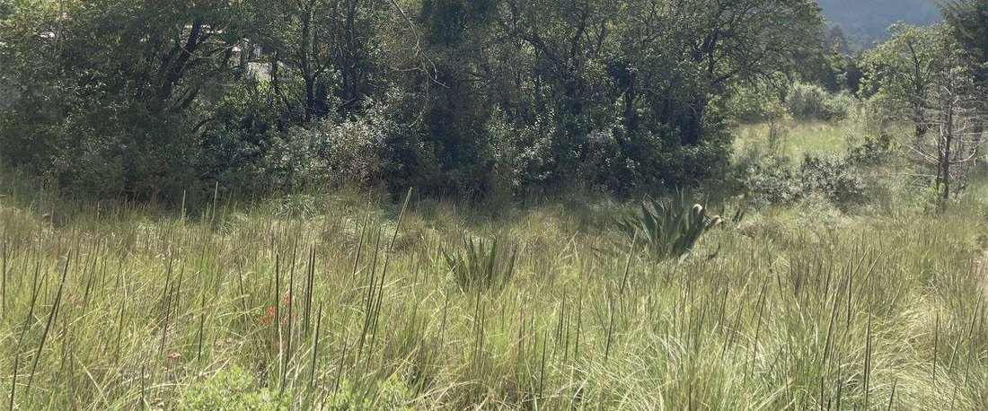 Land in Cañada de Alferes, State of Mexico, Mexico 1 - 18492696