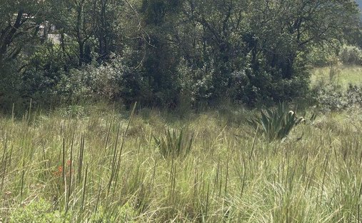 Land in Cañada de Alferes, State of Mexico, Mexico 1