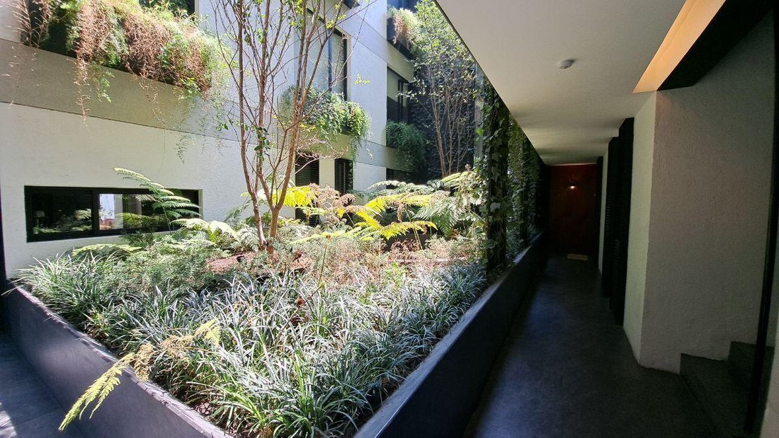 Apartment in Mexico City, Mexico 2 - 18492537