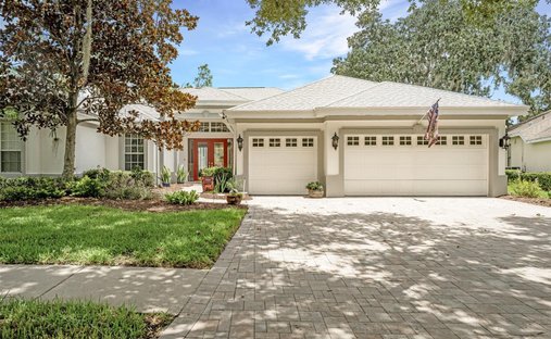 House in Valrico, Florida, United States 1