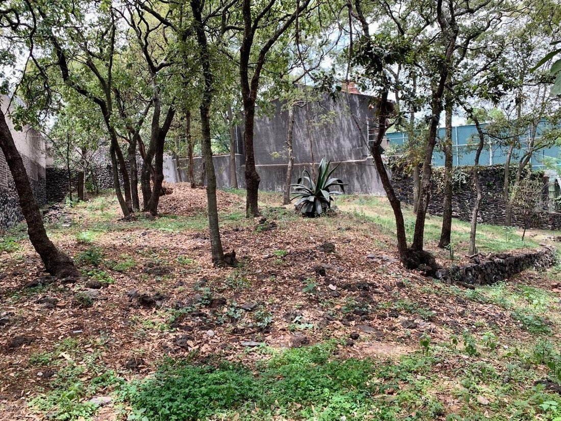 Land in Santa Catarina Yecahuitzotl, Mexico City, Mexico 1 - 18492518