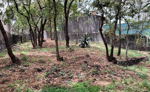 Land in Santa Catarina Yecahuitzotl, Mexiko-Stadt, Mexiko 1