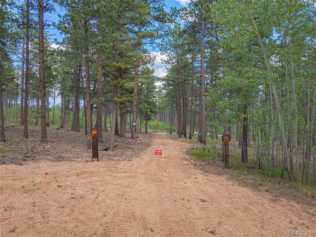 Land in Lake George, Colorado, United States 2 - 18494951
