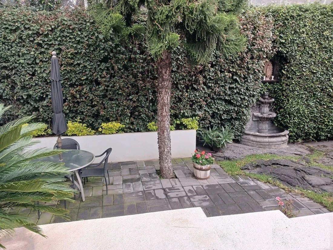 House in Santa Catarina Yecahuitzotl, Mexico City, Mexico 4 - 18492658
