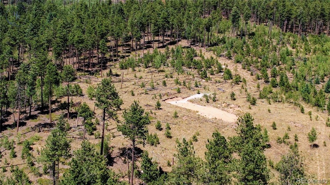 Land in Lake George, Colorado, United States 5 - 18494951