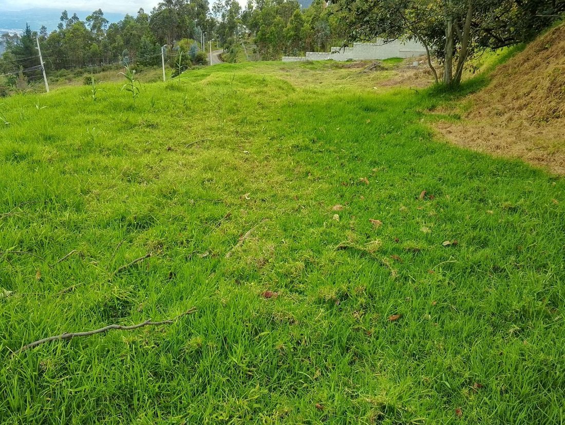 Land in Quito, Provinz Pichincha, Ecuador 4 - 18492587