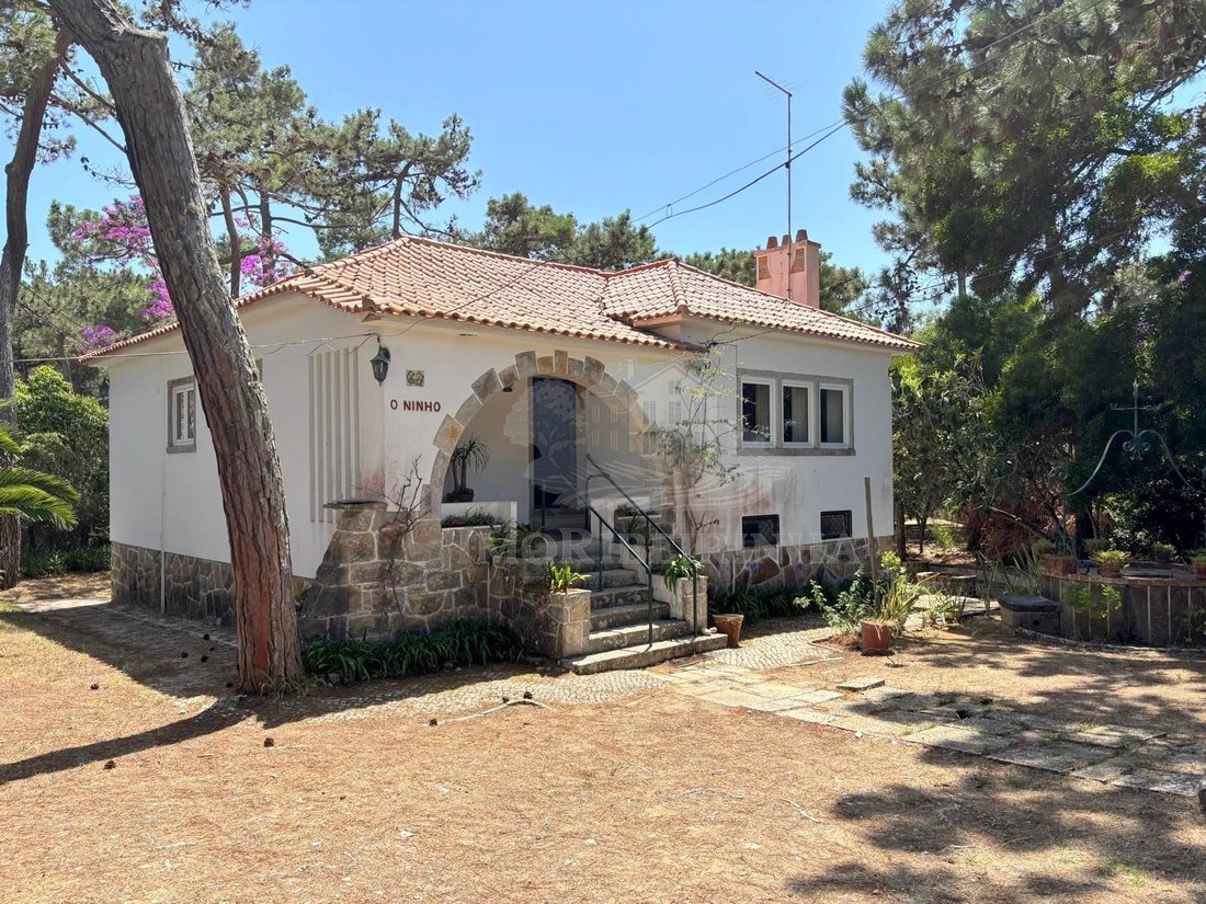 House in Colares, Lisbon, Portugal 3 - 18495257