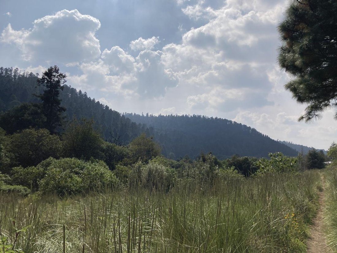 Land in Cañada de Alferes, State of Mexico, Mexico 2 - 18492696