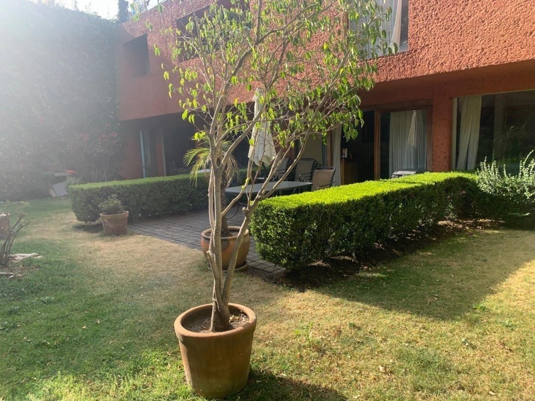 House in Mexico City, Mexico 4 - 18492436