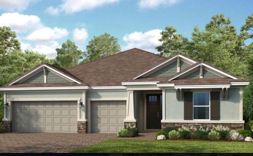House in Odessa, Florida, United States 1