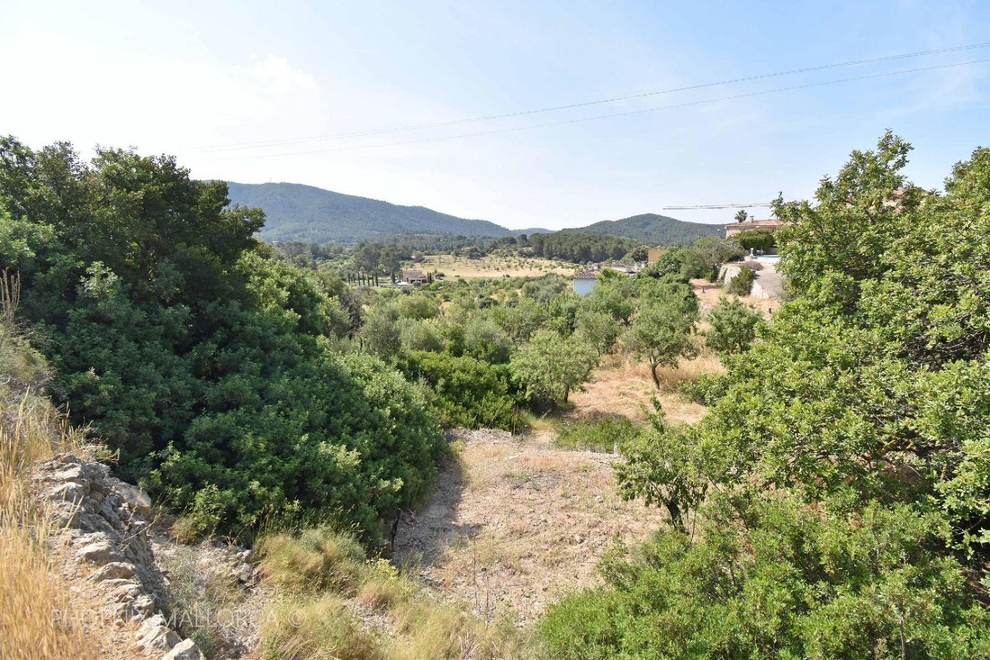 Terreno a Calvià, Isole Baleari, Spagna 3 - 17773259