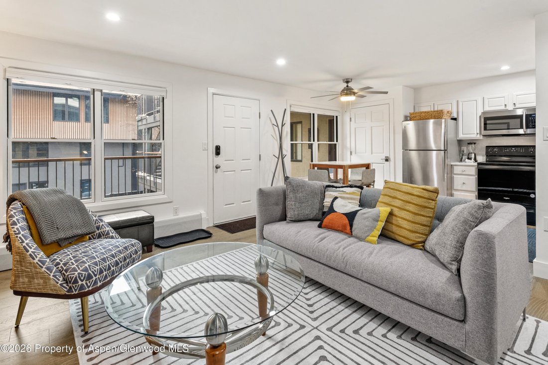 Condo in Aspen, Colorado, United States 1 - 18493991