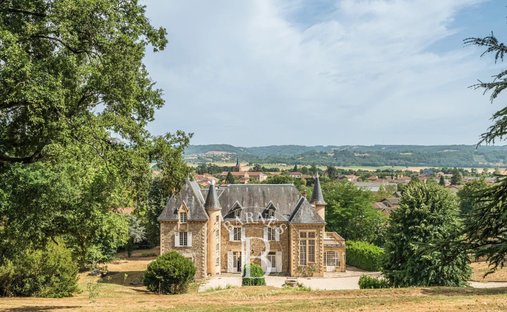 Castle in Marcilloles, Auvergne-Rhône-Alpes, France 1