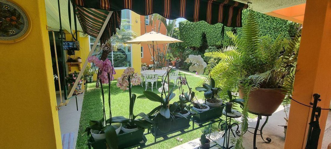 House in Cuernavaca, Morelos, Mexico 5 - 18492442