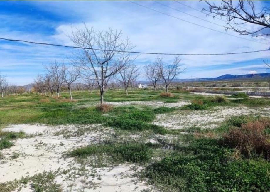 Land in Parras de la Fuente, Coahuila, Mexico 4 - 18492707