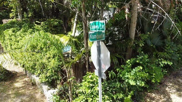 House in Miami, Florida, United States 4 - 18493453