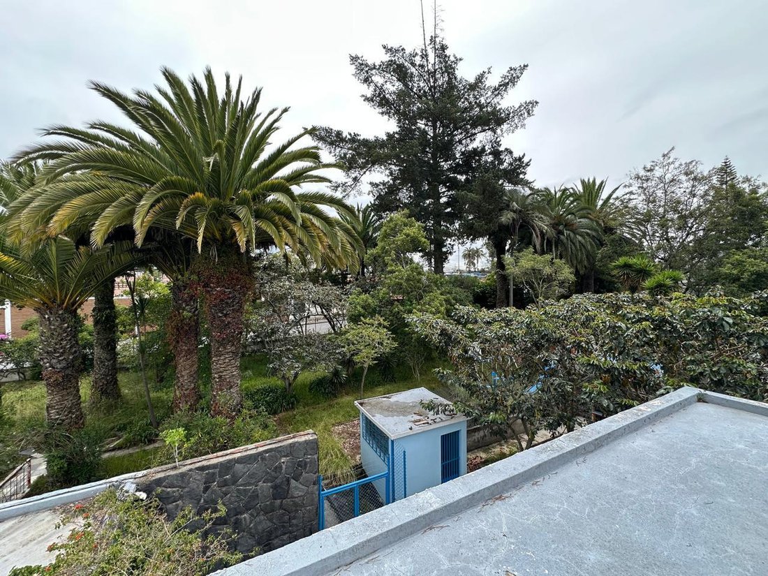 Land in Quito, Pichincha, Ecuador 1 - 18492605