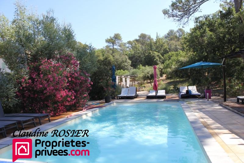 Villa in Besse-sur-Issole, Provence-Alpes-Côte d'Azur, France 4 - 18495696