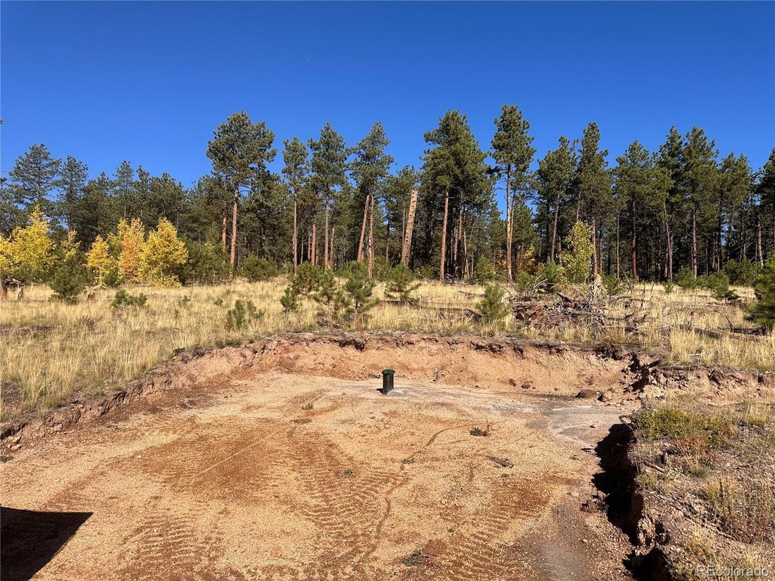 Land in Lake George, Colorado, United States 4 - 18494951
