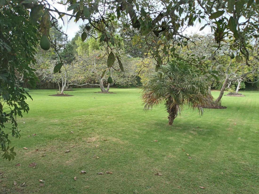 Land in Quito, Pichincha, Ecuador 3 - 18492595
