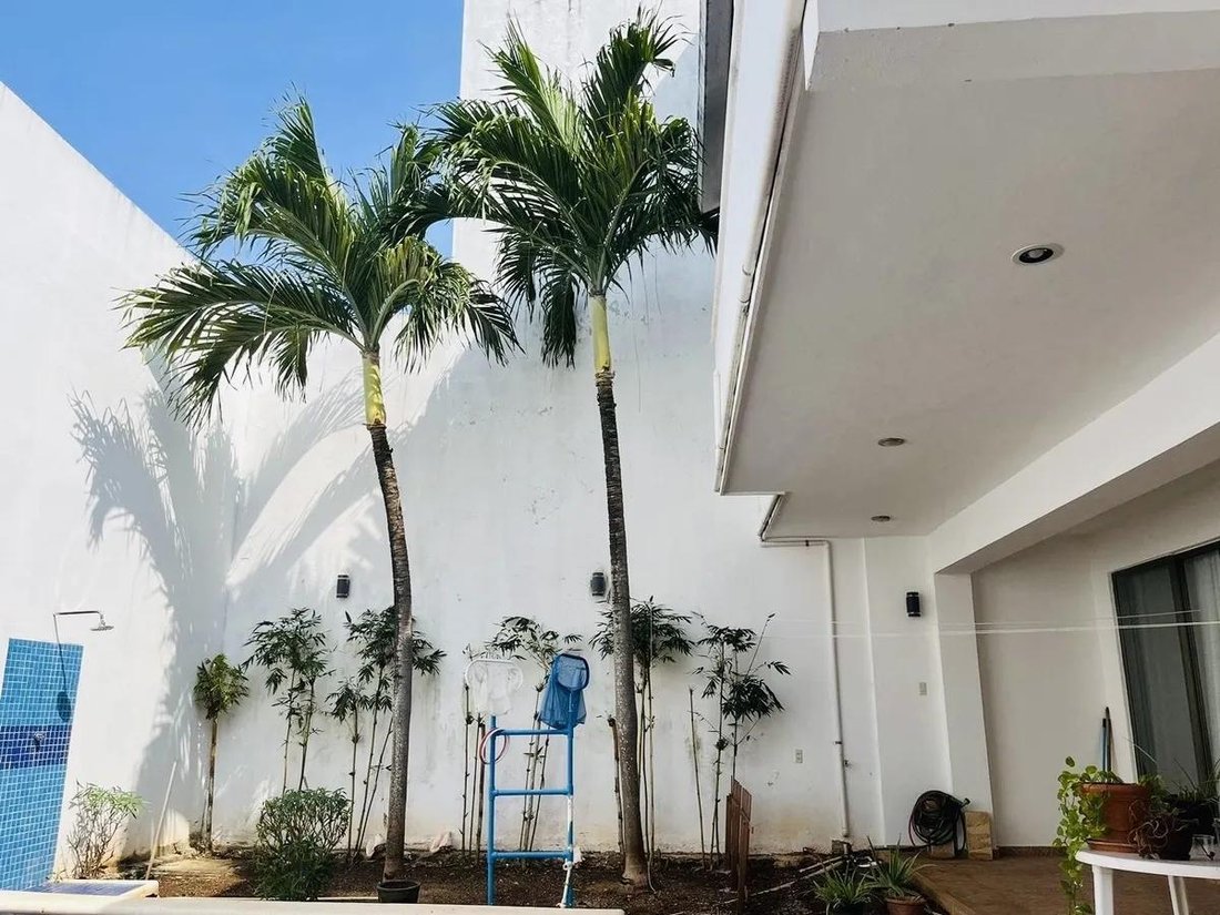 House in Playa del Carmen, Quintana Roo, Mexico 5 - 18492641