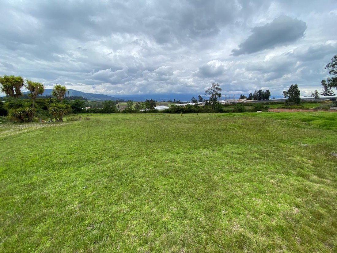 Land in Quito, Pichincha, Ecuador 1 - 18492590
