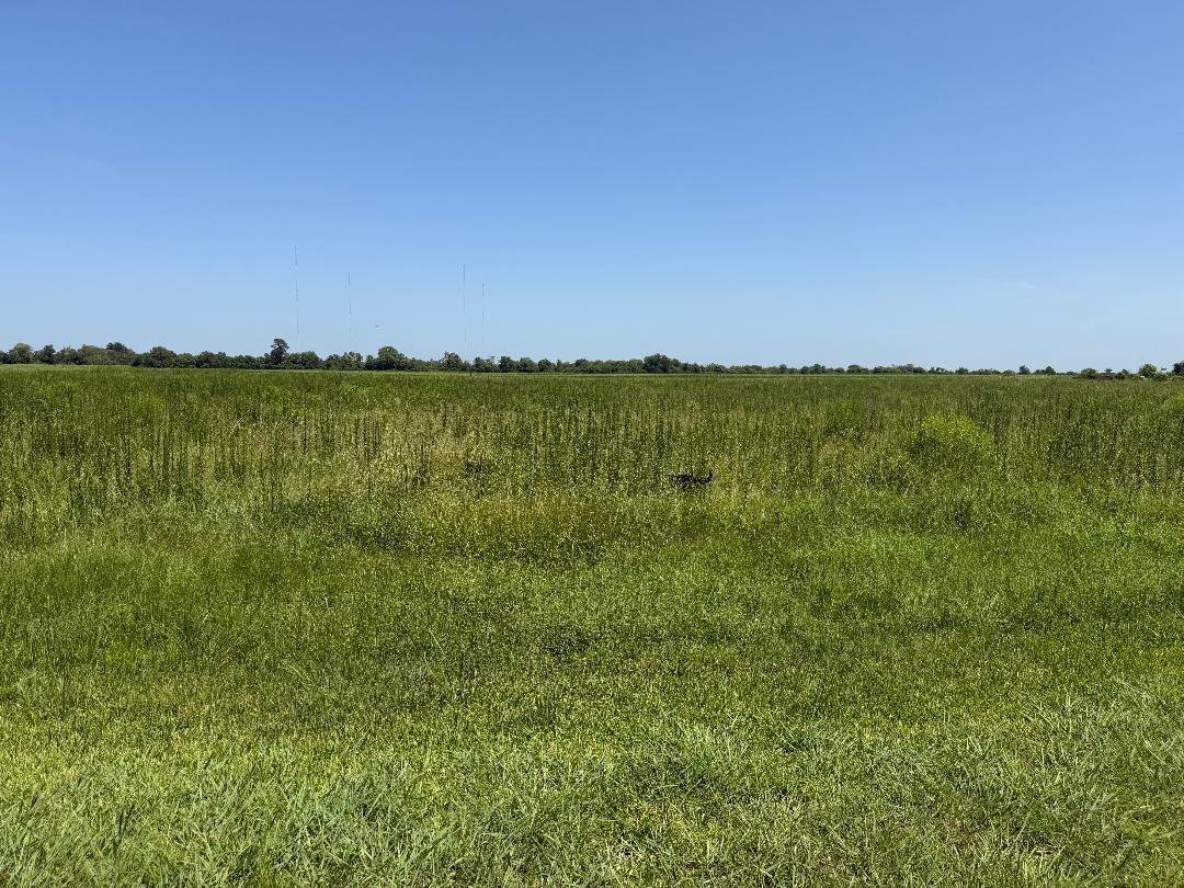 House in Dayton, Texas, United States 4 - 18494024